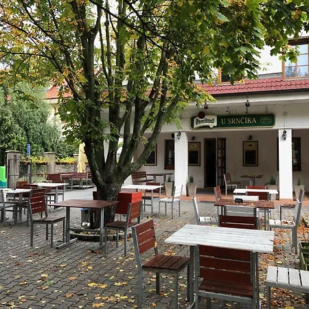 U Srncika