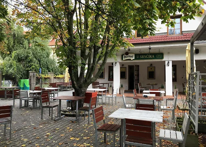 U Srnčíka